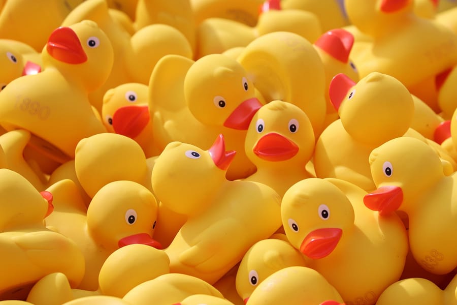 Yellow Rubber Ducks Bath Toys 20 Pack
